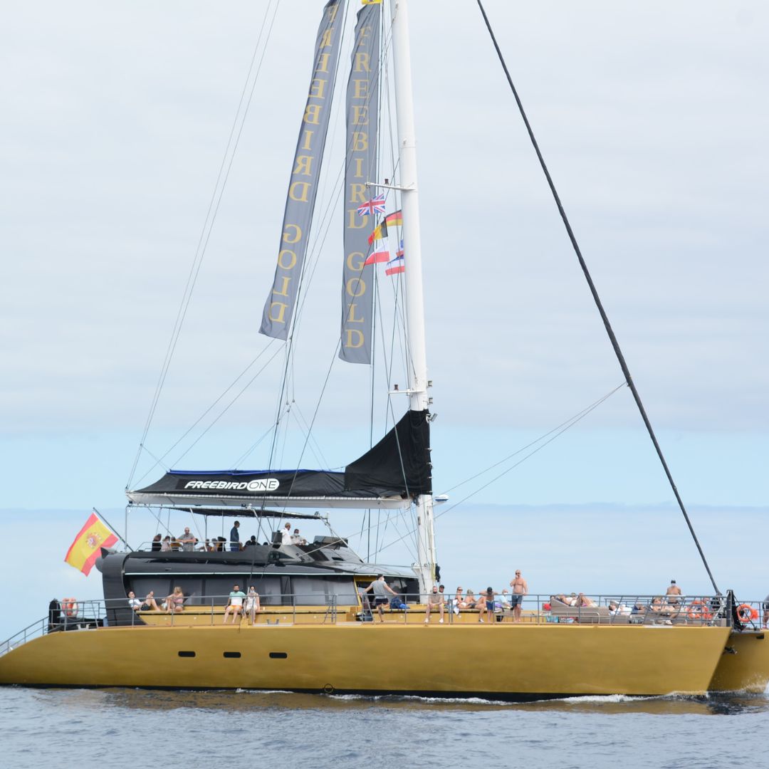 rejs katamaranem na teneryfie