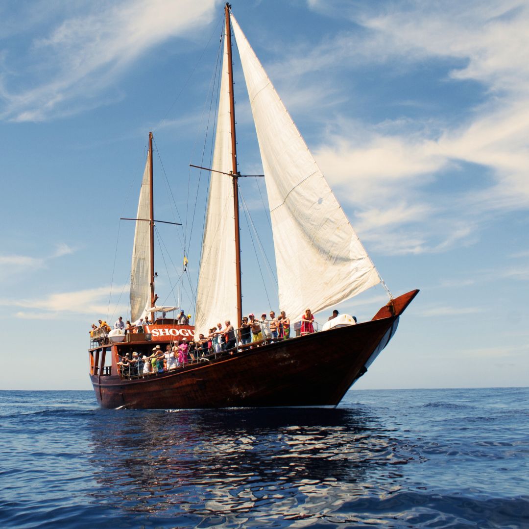 żaglowiec shogun teneryfa