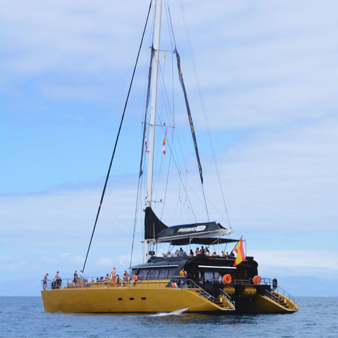 rejs na delfiny teneryfa