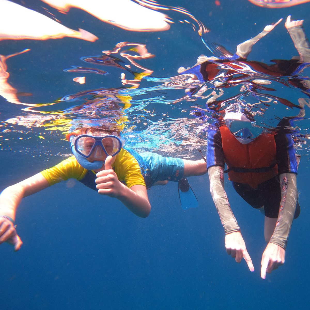 snorkeling teneryfa