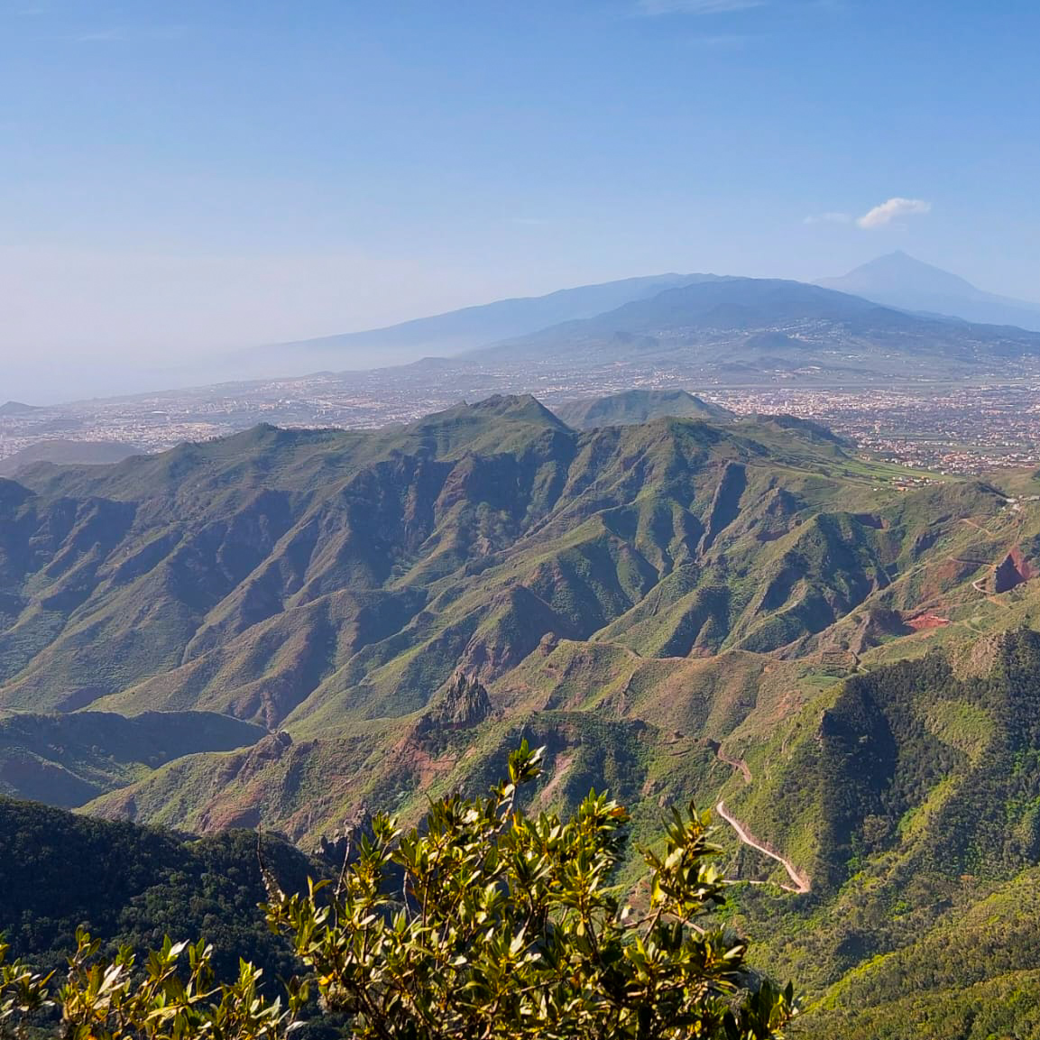 wycieczki po teneryfie