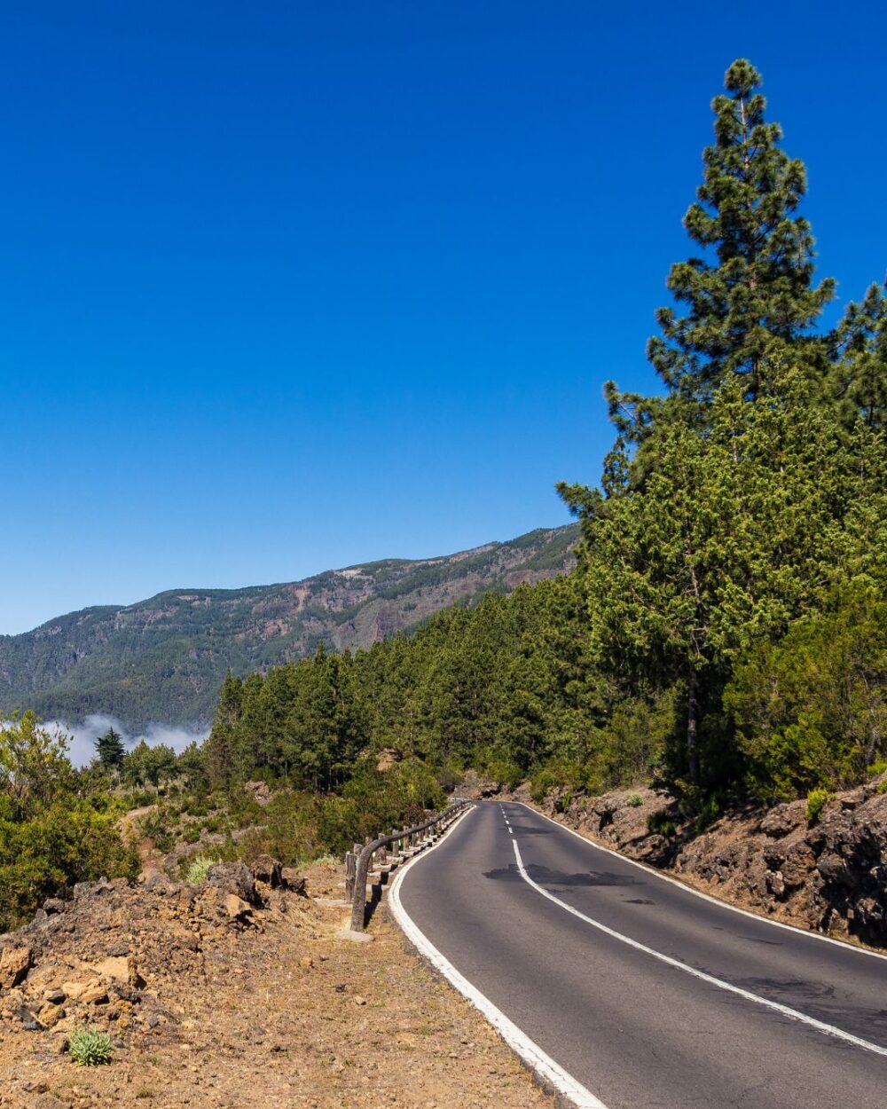 wycieczka objazdowa po teneryfie