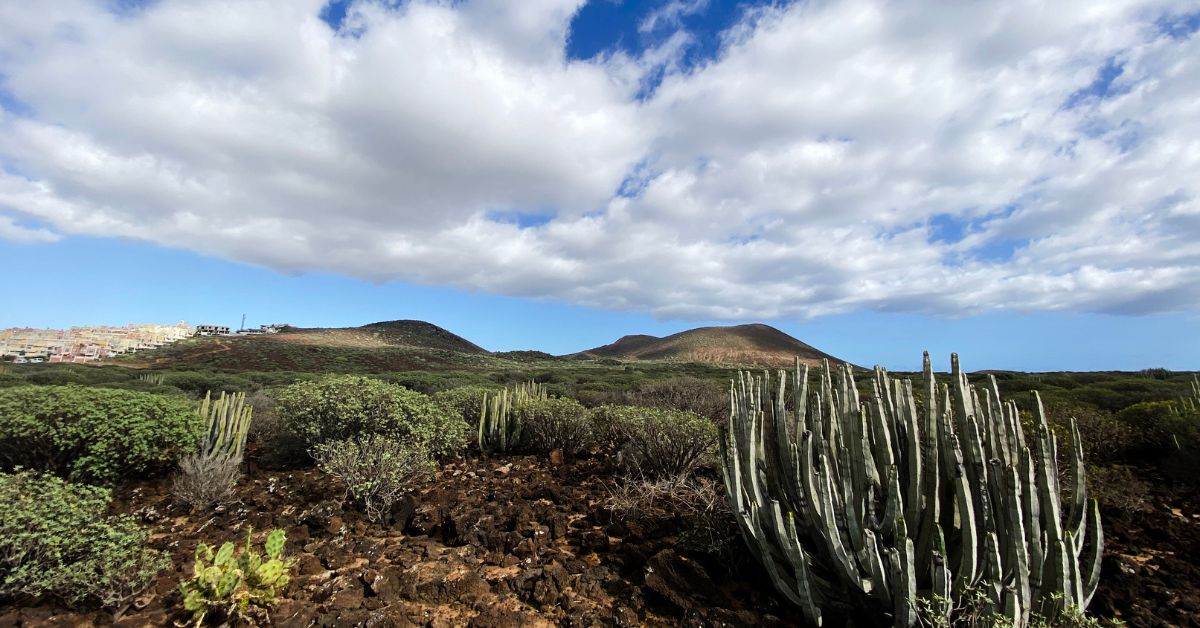 teneryfa ciekawostki