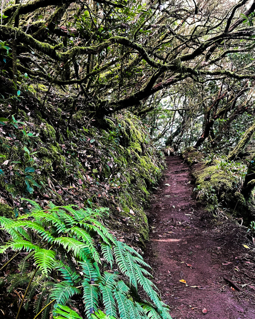 ścieżka góry anaga