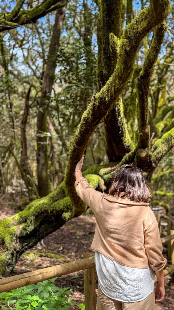 la gomera kobieta dotykająca drzewa