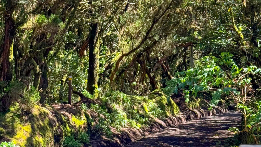 góry anaga - szlak pieszy wśród zieleni