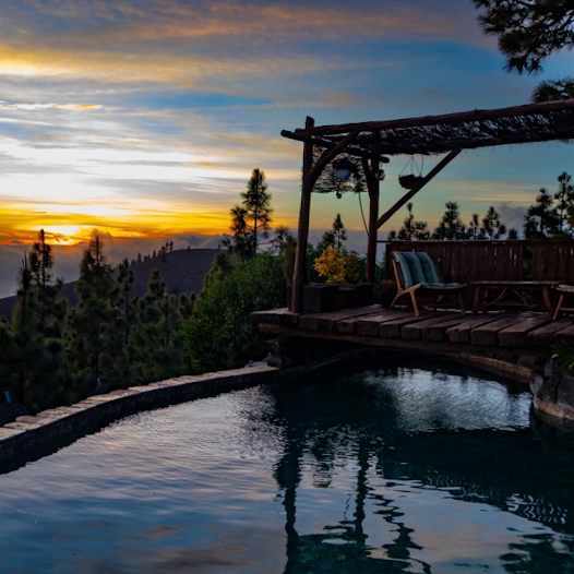 Nietypowy nocleg na łonie natury – drewniana beczka wśród lasu z panoramą oceanu