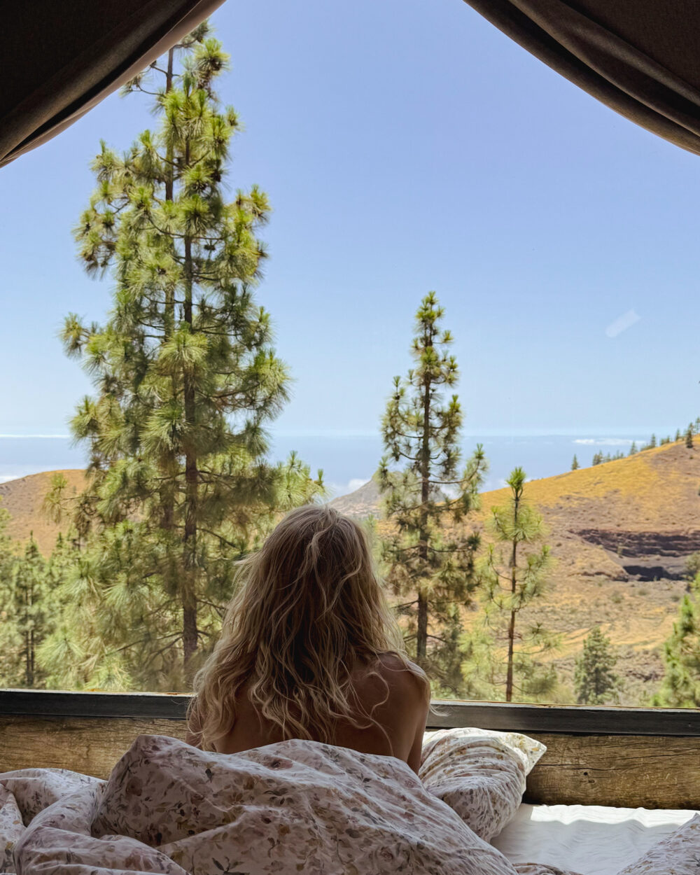 teneryfa nietuzinkowy nocleg w beczce z widokiem na las i ocean