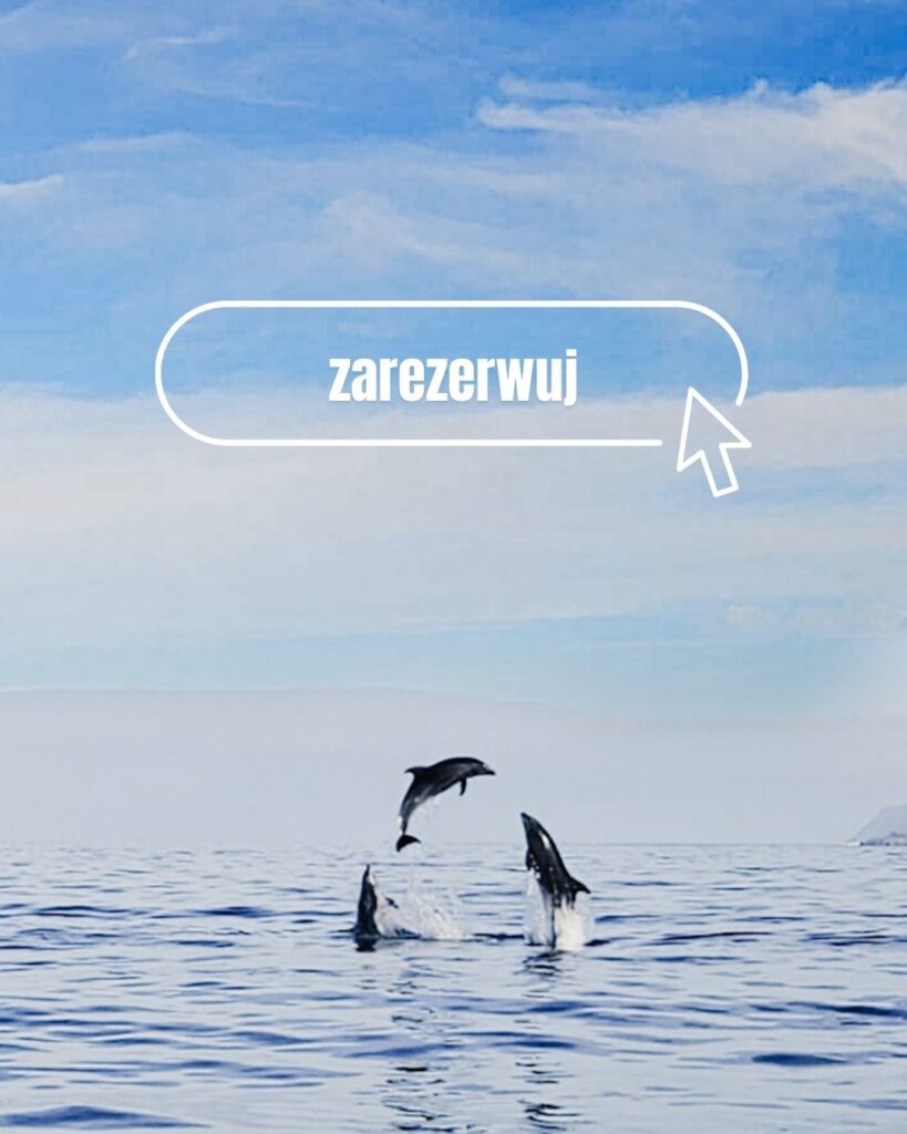 wycieczki fakultatywne teneryfa