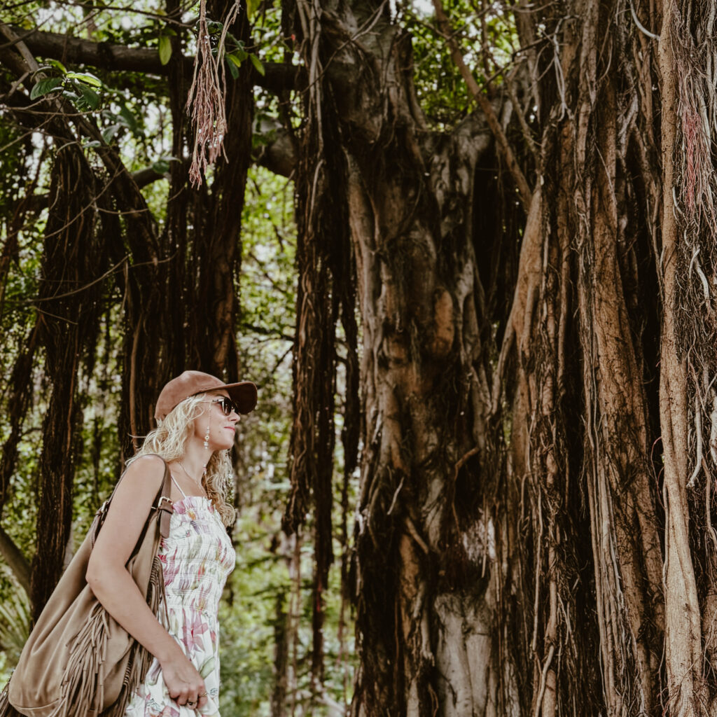 parque garcia w santa cruz