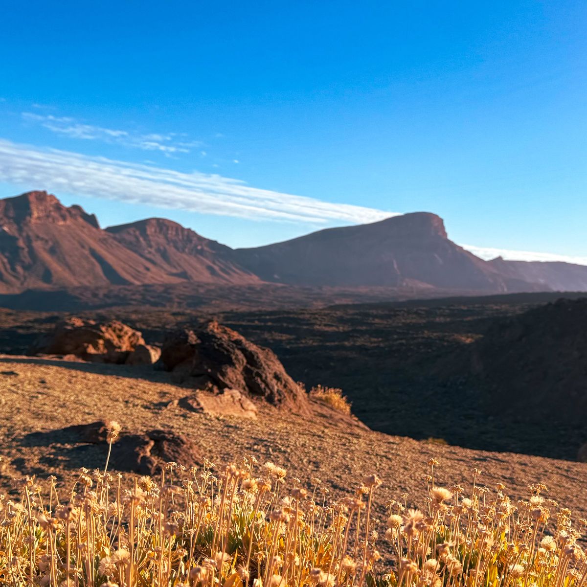 teneryfa park narodowy teide